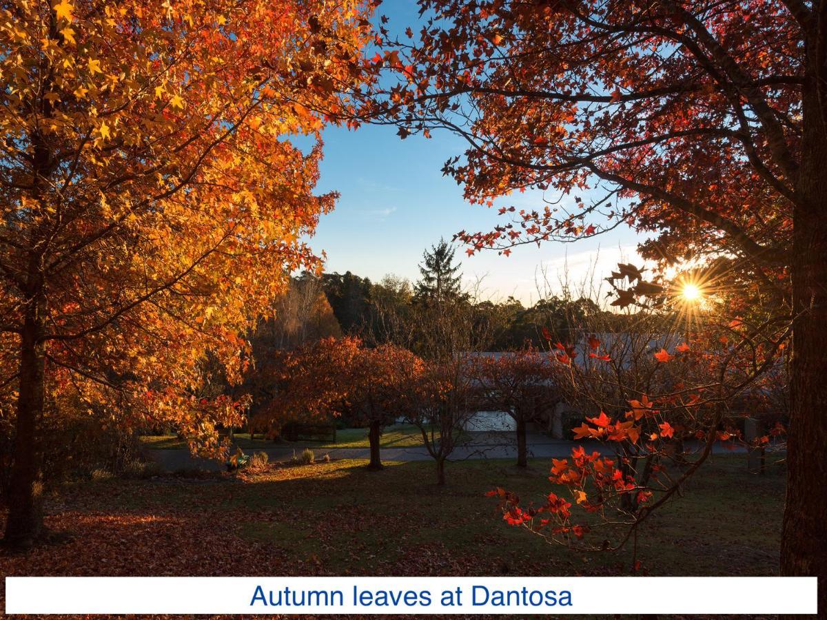 Dantosa Blue Mountains Retreat Villa Katoomba Exterior photo
