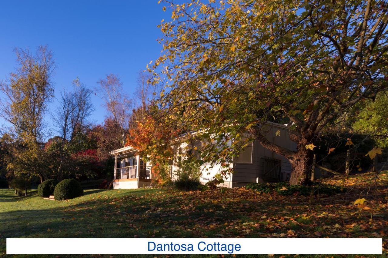 Dantosa Blue Mountains Retreat Villa Katoomba Exterior photo